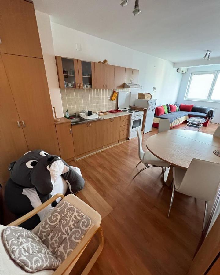 Apartments D&D Pozarevac Ngoại thất bức ảnh